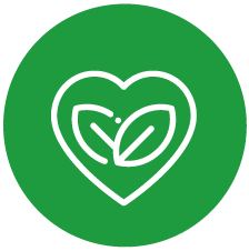 Salud Ambiental